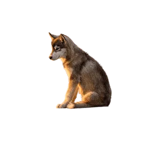 Grönlandhund