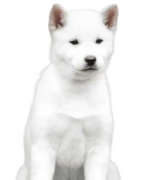Hokkaido