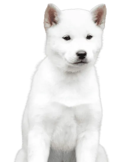 Hokkaido