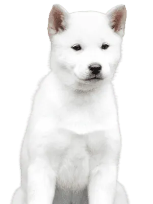 Hokkaido