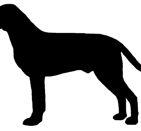 Hygenhund