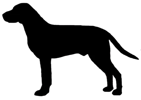 Hygenhund