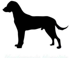 Montenegrinischer Gebirgslaufhund