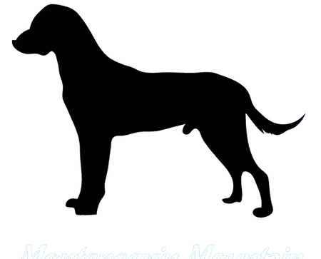 Montenegrinischer Gebirgslaufhund