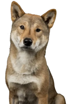 Shikoku