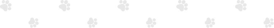 Pfoten Grafik