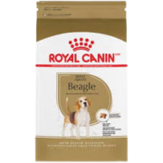 Beagle dog food