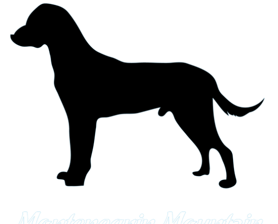 Montenegrinischer Gebirgslaufhund